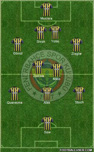 Fenerbahçe SK Formation 2012