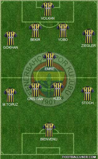 Fenerbahçe SK Formation 2012
