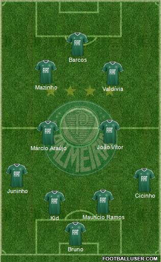 SE Palmeiras Formation 2012