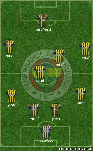 Fenerbahçe SK Formation 2012