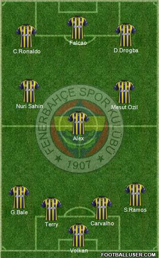 Fenerbahçe SK Formation 2012