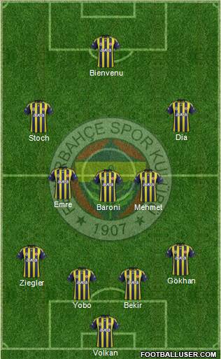 Fenerbahçe SK Formation 2012
