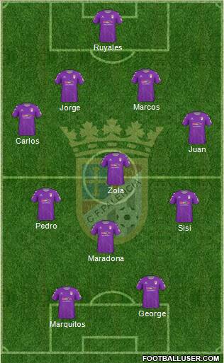 C.F. Palencia Formation 2012