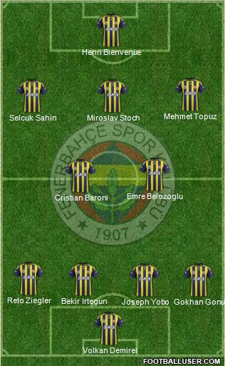 Fenerbahçe SK Formation 2012