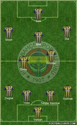 Fenerbahçe SK Formation 2012