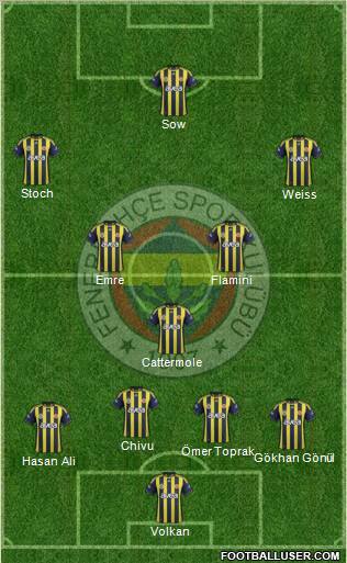 Fenerbahçe SK Formation 2012