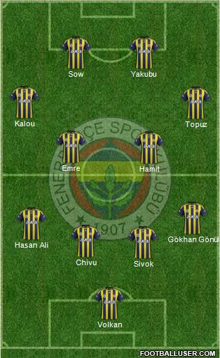 Fenerbahçe SK Formation 2012