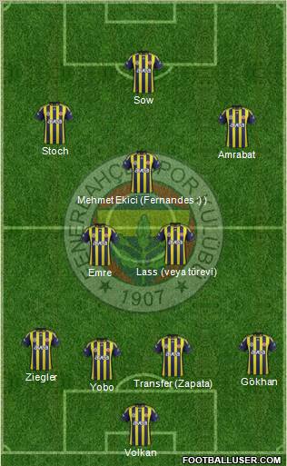 Fenerbahçe SK Formation 2012
