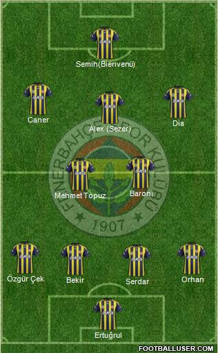 Fenerbahçe SK Formation 2012