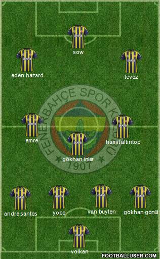 Fenerbahçe SK Formation 2012