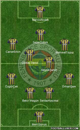 Fenerbahçe SK Formation 2012