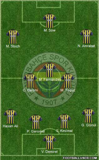 Fenerbahçe SK Formation 2012