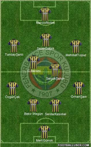 Fenerbahçe SK Formation 2012