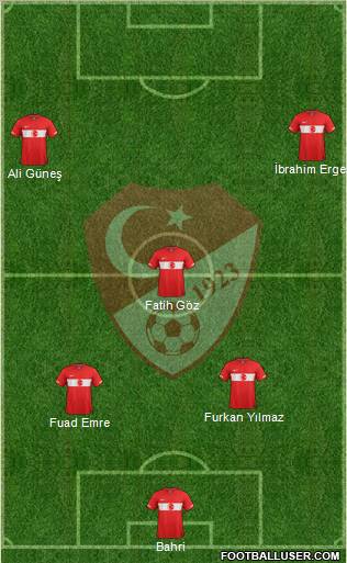 Turkey Formation 2012