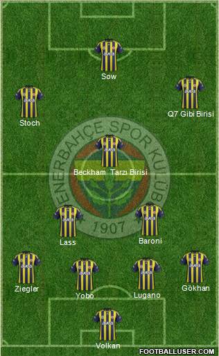 Fenerbahçe SK Formation 2012
