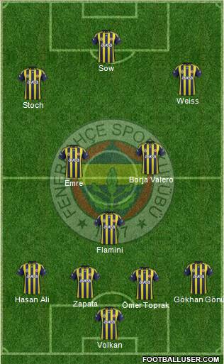 Fenerbahçe SK Formation 2012