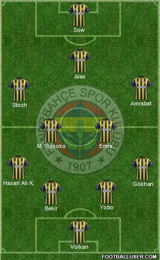 Fenerbahçe SK Formation 2012