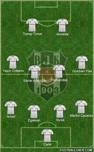 Besiktas JK Formation 2012