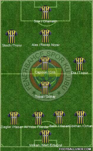 Fenerbahçe SK Formation 2012
