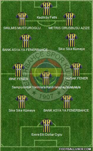Fenerbahçe SK Formation 2012