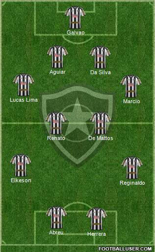 Botafogo FR Formation 2012