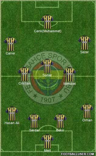 Fenerbahçe SK Formation 2012