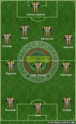 Fenerbahçe SK Formation 2012