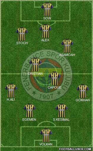 Fenerbahçe SK Formation 2012