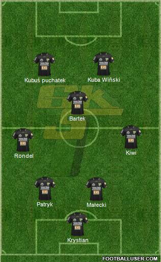 Gornik Leczna Formation 2012