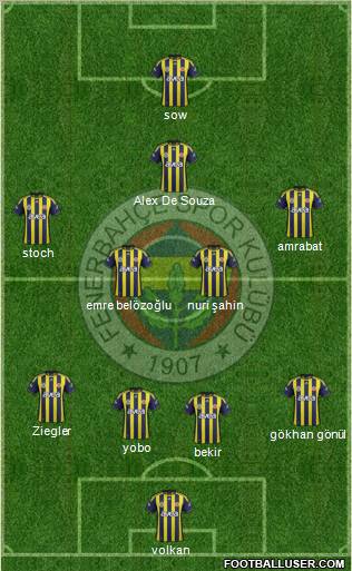 Fenerbahçe SK Formation 2012