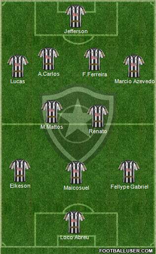 Botafogo FR Formation 2012
