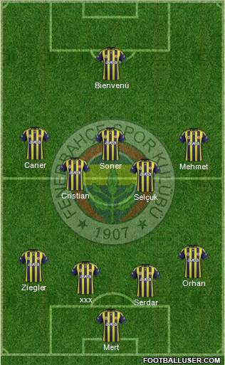 Fenerbahçe SK Formation 2012