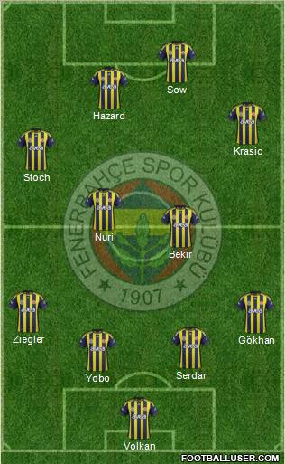 Fenerbahçe SK Formation 2012