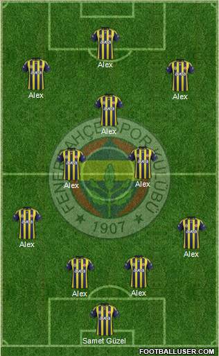 Fenerbahçe SK Formation 2012