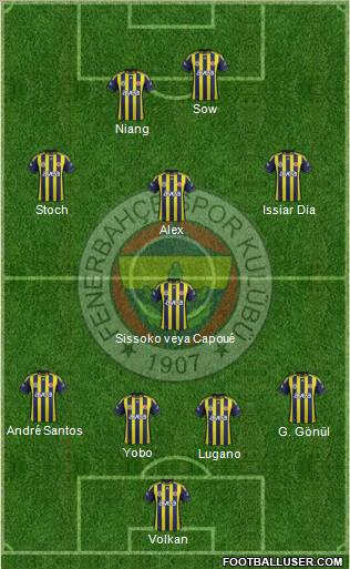 Fenerbahçe SK Formation 2012