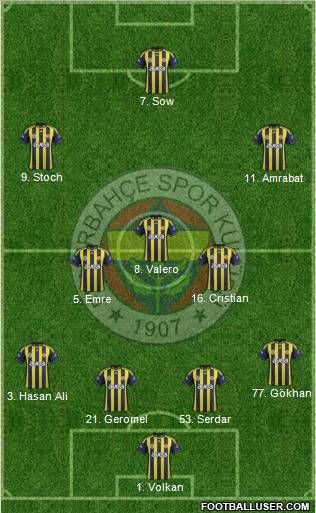 Fenerbahçe SK Formation 2012