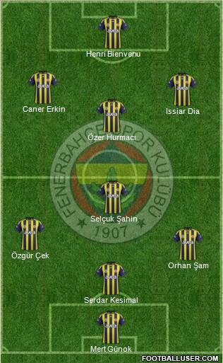 Fenerbahçe SK Formation 2012