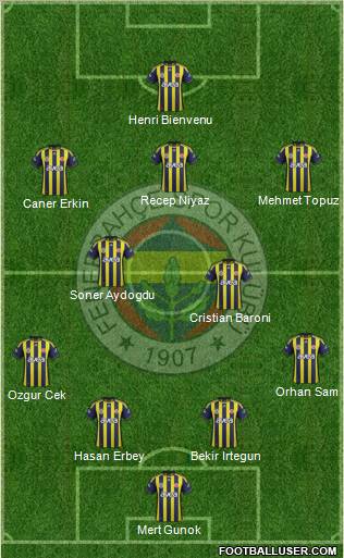 Fenerbahçe SK Formation 2012