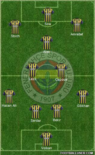 Fenerbahçe SK Formation 2012