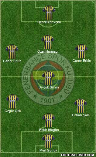Fenerbahçe SK Formation 2012