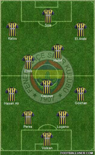 Fenerbahçe SK Formation 2012