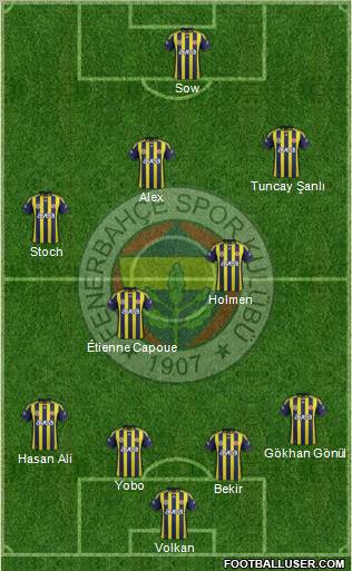 Fenerbahçe SK Formation 2012