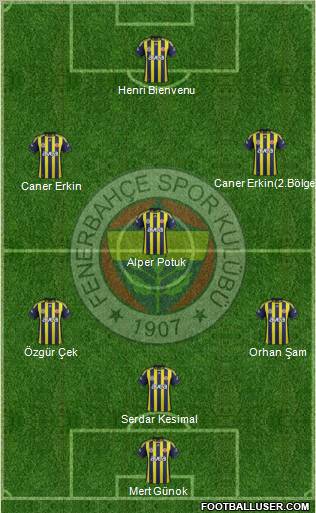Fenerbahçe SK Formation 2012