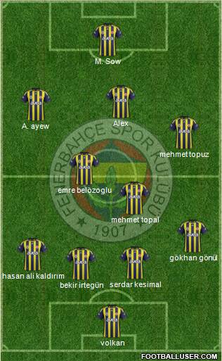 Fenerbahçe SK Formation 2012