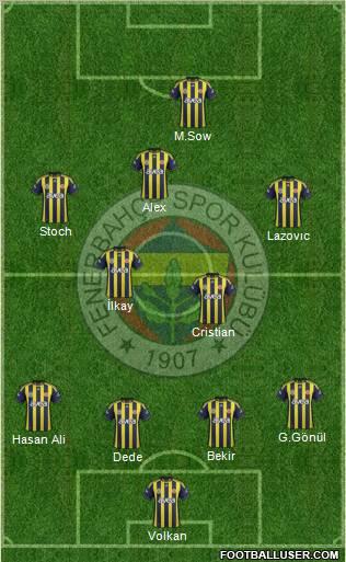 Fenerbahçe SK Formation 2012