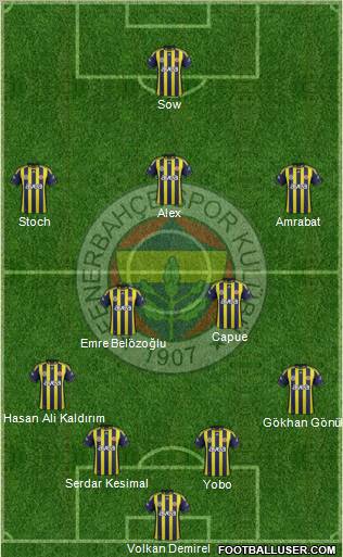 Fenerbahçe SK Formation 2012