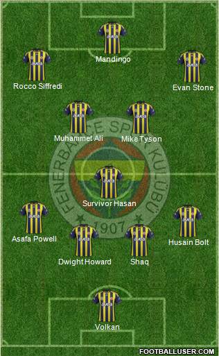 Fenerbahçe SK Formation 2012