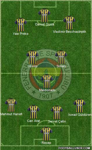 Fenerbahçe SK Formation 2012