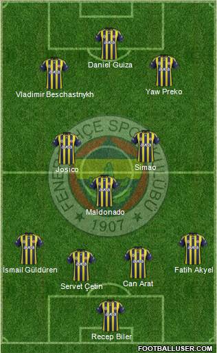 Fenerbahçe SK Formation 2012