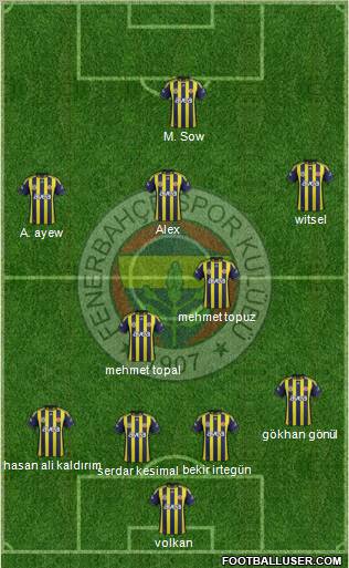 Fenerbahçe SK Formation 2012